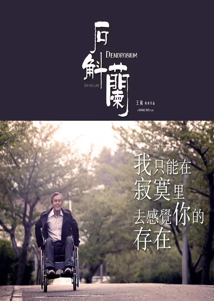 石斛兰