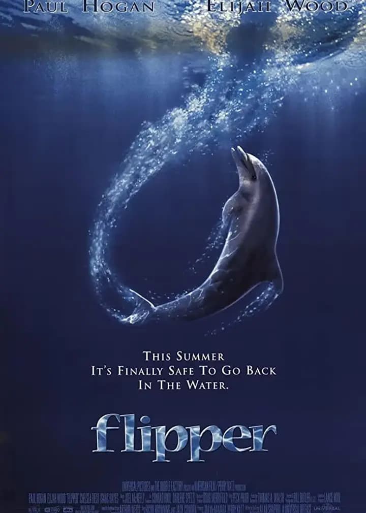 海豚的故事