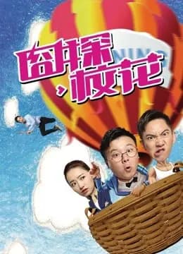 囧探校花