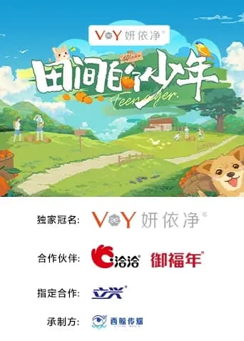 田间的少年