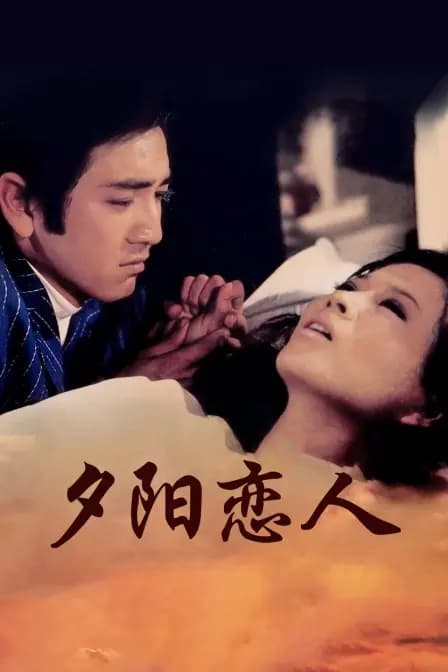 夕阳恋人