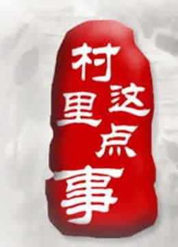 村里这点事