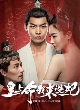皇上命我来选妃
