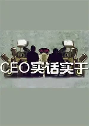 CEO实话实干 2010