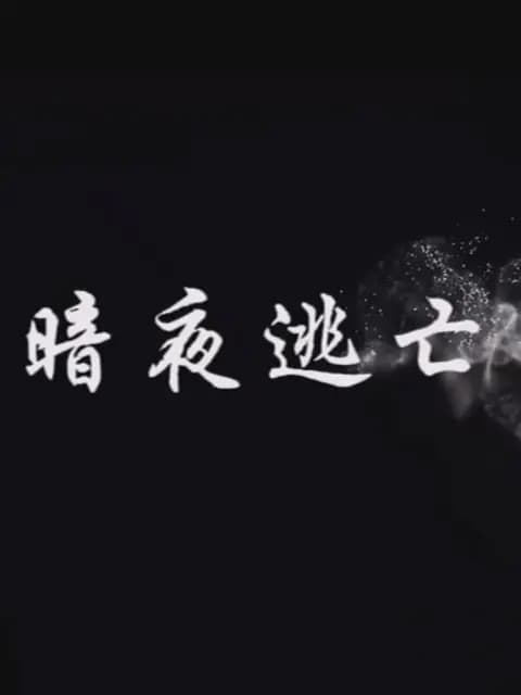 暗夜逃亡