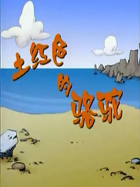 土红色的骆驼