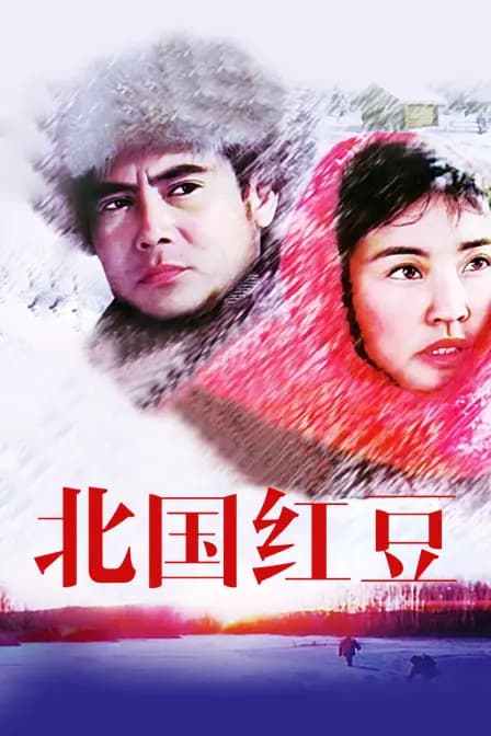 北国红豆